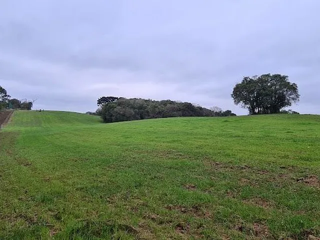Imagem 12: Área Residencial Para Empreendimento Imobiliário!