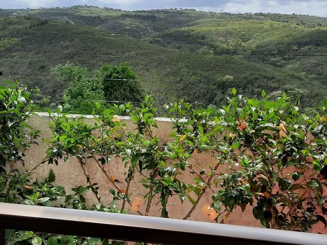 Imagem 13: Casa 3 Qts C/ Suite Fora de Condominio