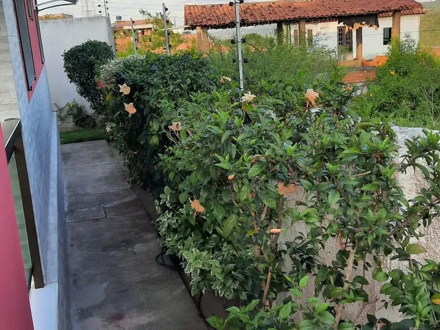 Imagem 9: Casa 3 Qts C/ Suite Fora de Condominio