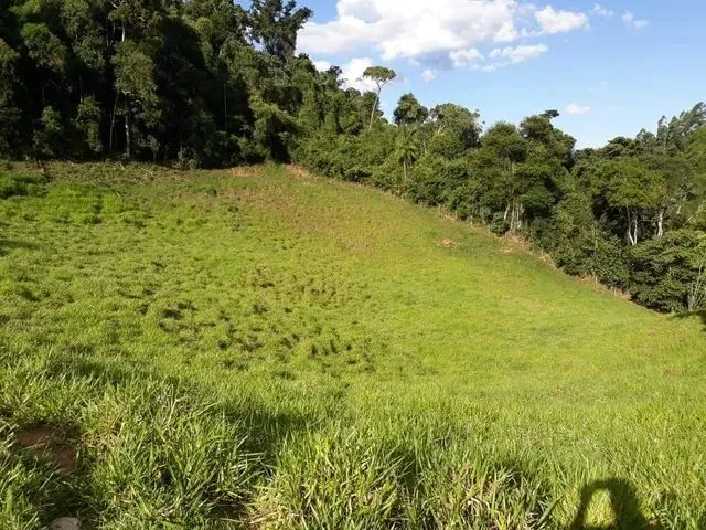 Imagem 1: Propriedade em Pedra Branca