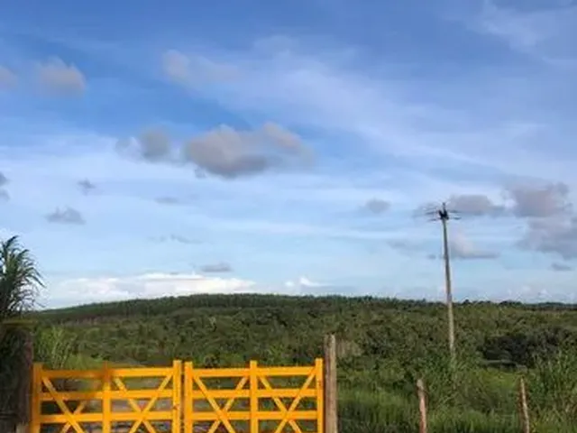 Imagem 1: Lotes Terrenos Curralinho Linha Verde 2000M2 Oportunidade para Sitios