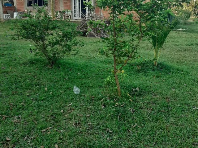 Imagem 8: Sitio de 2000 m² com uma casa