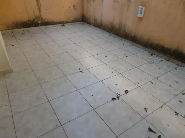 Imagem 13: Lajeado - Casa Padrão - Americano