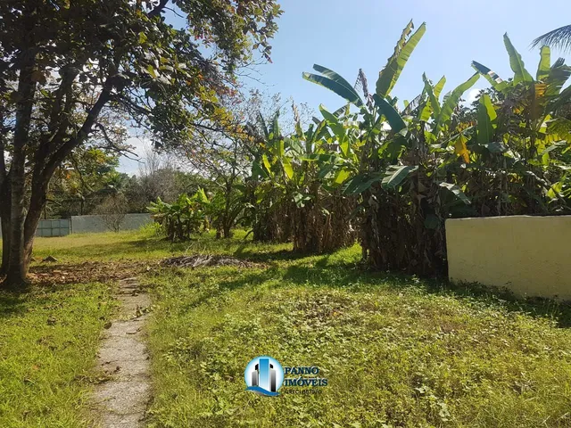 Imagem: Casa com Quintal