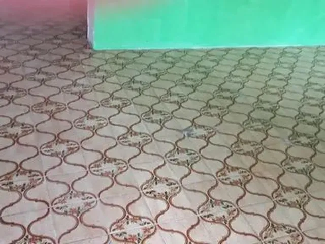 Imagem 11: Alugo Casa no Coroado