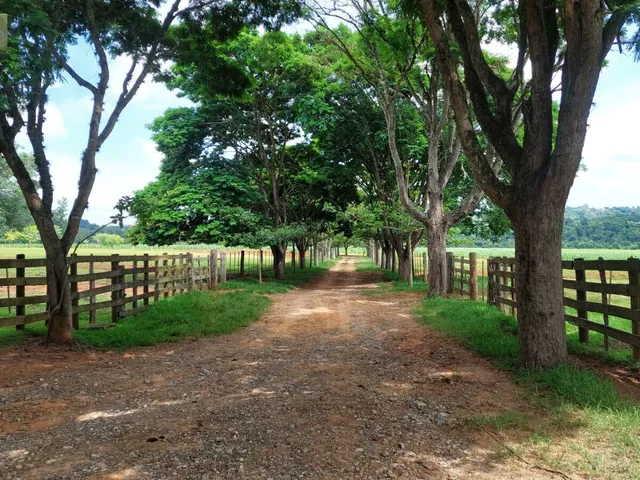 Imagem 2: Fazenda a venda região de Tatuí SP