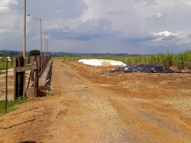 Imagem 7: Fazenda a venda região de Tatuí SP