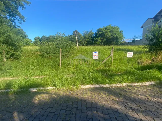 Imagem 3: TERRENO NO BAIRRO CIDADE NOVA