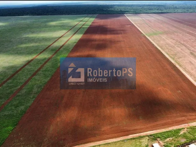 Imagem: Fazenda Água Limpa região de Paranatinga-MT