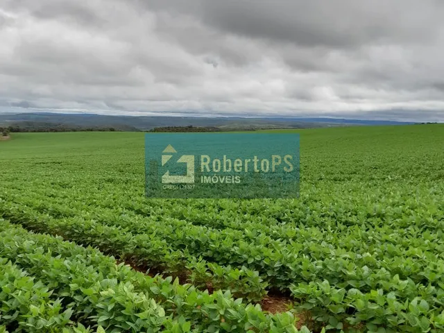 Imagem 9: Fazenda à venda com 135 alqueires goiano