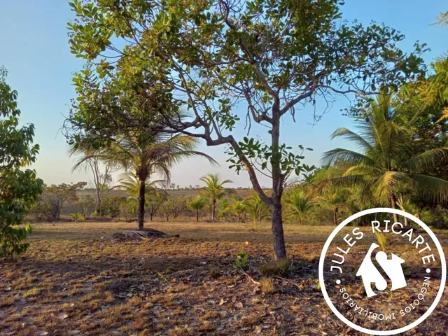 Imagem 2: CHÁCARA À VENDA NO KM 50 EM MACAPÁ