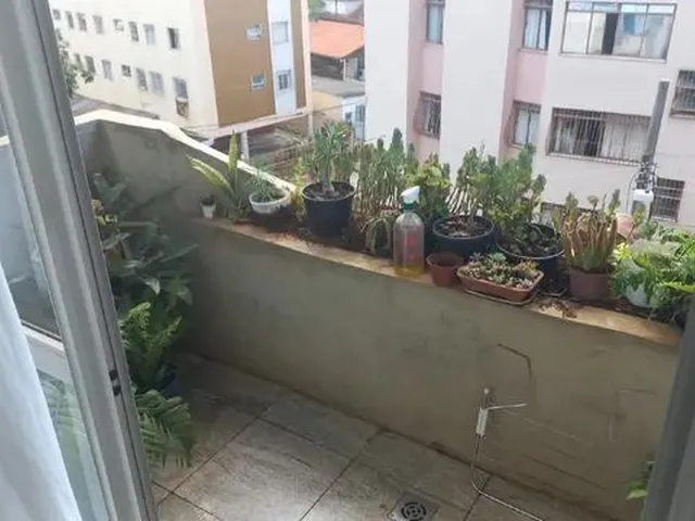 Imagem 16: Apartamento para Aluguel, 3 Quartos, 1 Suíte, 2 Vagas, Nova Floresta - Belo Horizonte/Mg