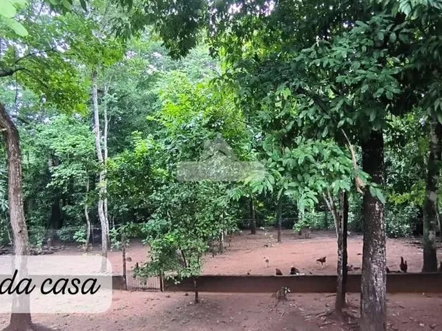 Imagem 4: Chácara - Casa Ampla com Córrego - Condomínio Rosas do Vento