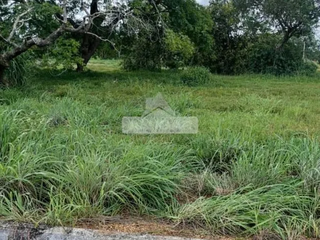Imagem: Lote - Ágio 264m² - Flamboyant II
