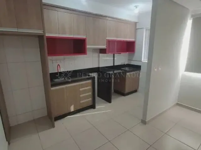 Imagem 10: Maringá - Apartamento - Jardim Alvorada