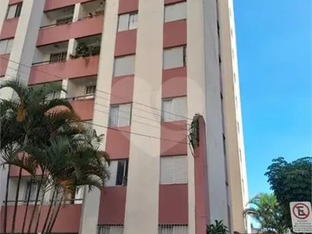 Imagem: Apartamento para Alugar Jd. Estádio Santo