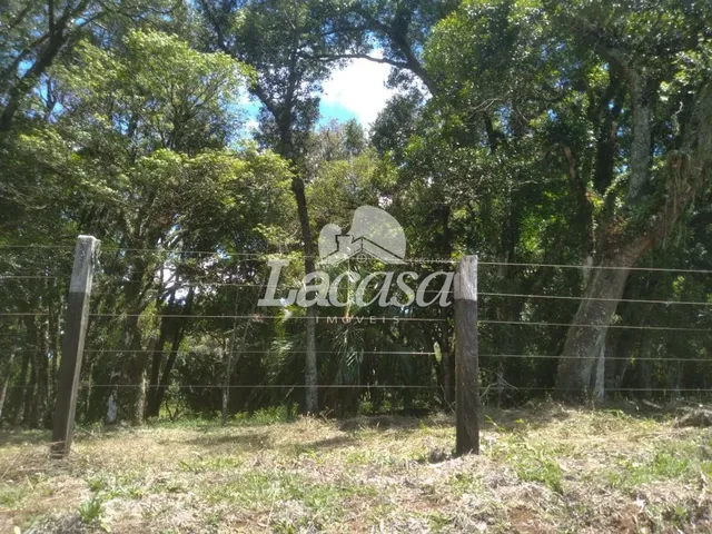 Imagem 9: Imobiliária La Casa Vende Excelente Condomínio de Chácaras!