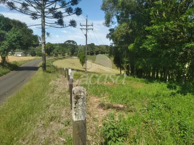 Imagem 3: VENDE-SE CHACÁRA A 2KM DA CIDADE DOS LAGOS