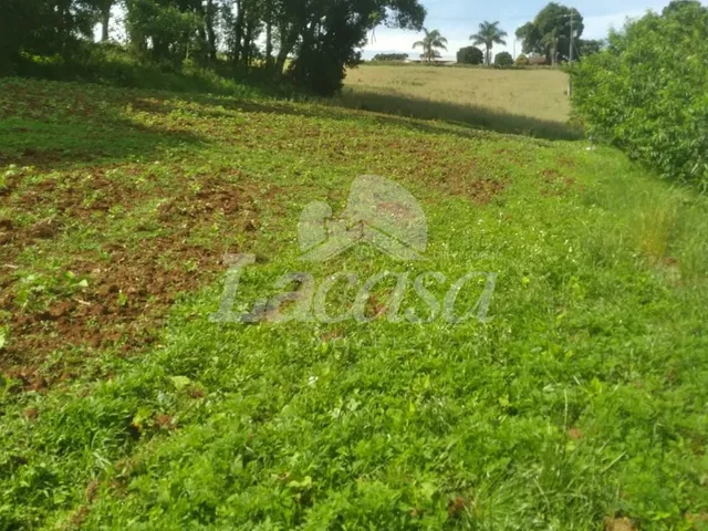 Imagem 2: VENDE-SE CHACÁRA A 2KM DA CIDADE DOS LAGOS