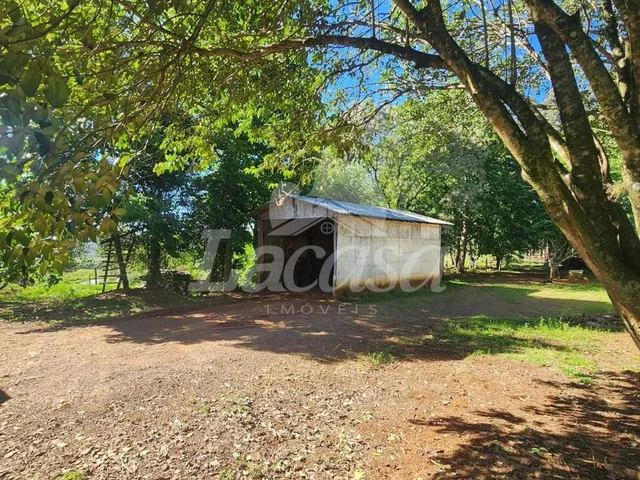 Imagem 5: LA CASA VENDE CHACARA NA COLÔNIA AGRICOLA JORDÃO PR170