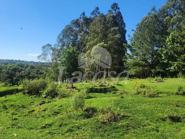 Imagem 6: LA CASA VENDE CHACARA NA COLÔNIA AGRICOLA JORDÃO PR170