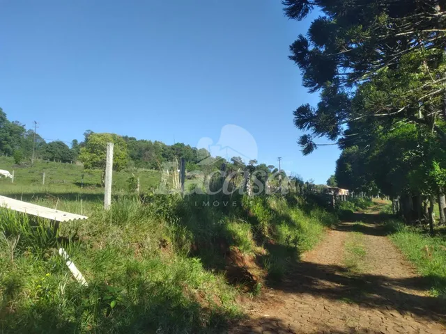 Imagem 8: LA CASA VENDE CHACARA NA COLÔNIA AGRICOLA JORDÃO PR170