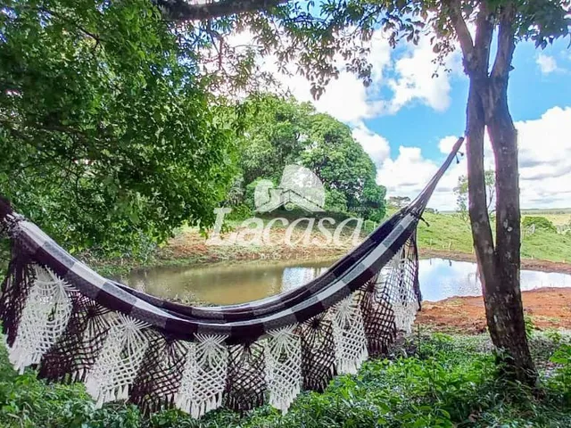 Imagem 9: Imobiliária La Casa vende: Excelente chácara próxima à Palmeirinha