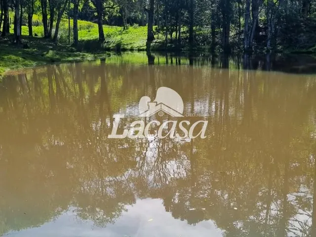 Imagem 12: Imobiliária La Casa vende: Excelente chácara próxima à Palmeirinha