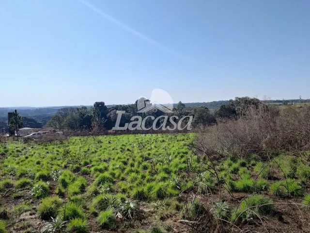 Imagem 8: TERRENO COMERCIAL em GUARAPUAVA - PR, IMÓVEL MORRO ALTO