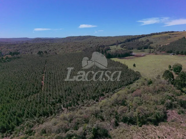Imagem 5: LACASA VENDE LINDA CHACARA PRÓXIMO AO DESTRITO DO GUAIRACA