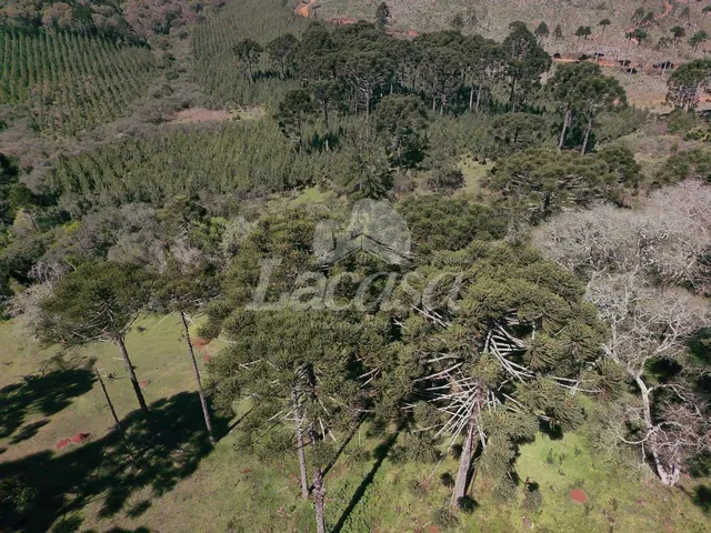 Imagem 10: LACASA VENDE LINDA CHACARA PRÓXIMO AO DESTRITO DO GUAIRACA