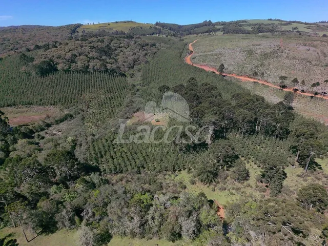 Imagem 2: LACASA VENDE LINDA CHACARA PRÓXIMO AO DESTRITO DO GUAIRACA