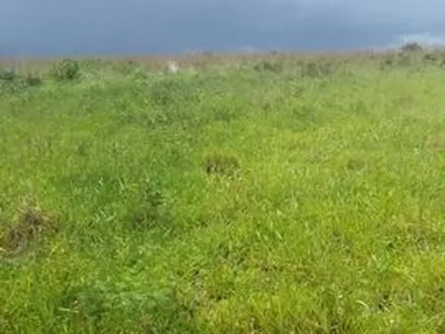 Imagem: Fazenda a Venda na Região de Campo Verde