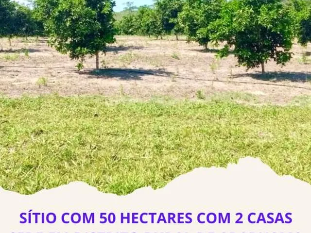 Imagem: A fazenda possui 2 Dormitórios, 500.000m² de Área e