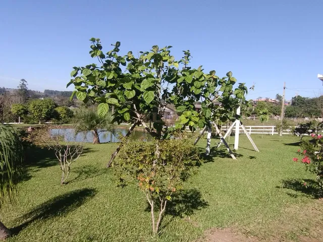 Imagem 5: Lindo Sítio com Piscina, Açude e de fácil acesso