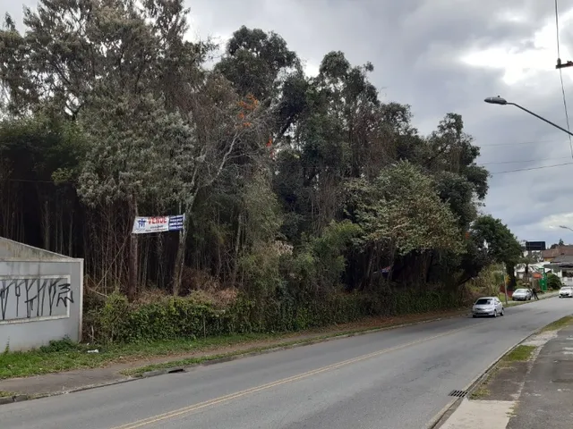 Imagem: AREA RESIDENCIAL em CURITIBA - PR, SANTA