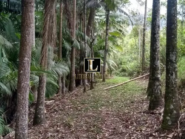Imagem 6: SITIO - CAMBORIÚ