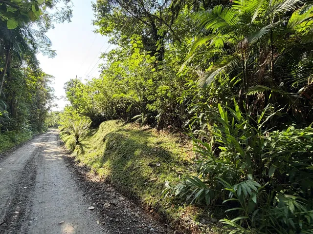 Imagem 8: Chácara em Pirabeiraba, Joinville/SC