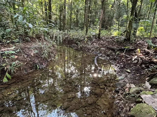Imagem 6: Chácara em Pirabeiraba, Joinville/SC