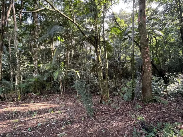 Imagem 7: Chácara em Pirabeiraba, Joinville/SC