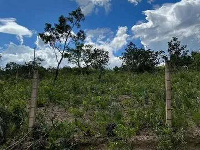 Imagem: Vendo Areia Rural Medindo 1.500 Metros Egistrado