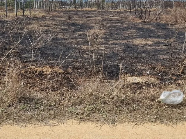 Imagem: Terreno/Lote a Venda em Praia do Cações