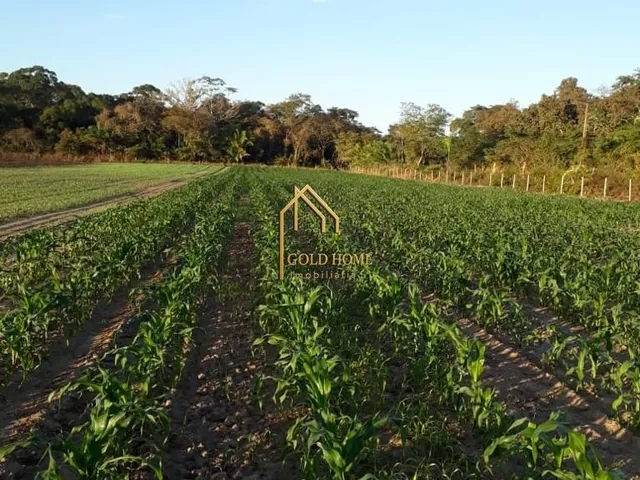 Imagem: Sítio de 10 hectares à Venda em Santo