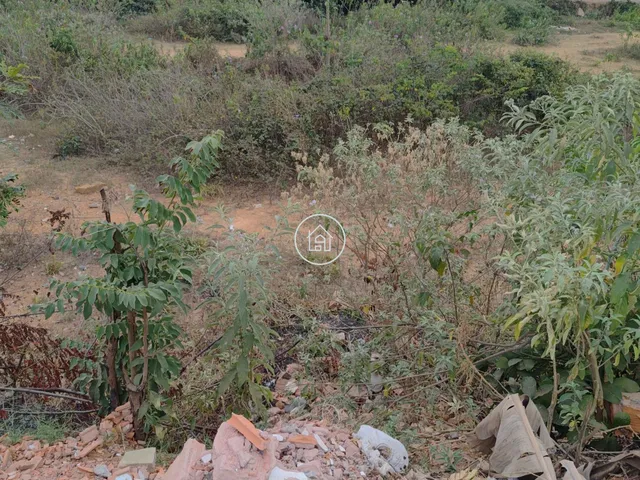 Imagem: 2 Lotes À Venda de Igual Tamanho - Documentação