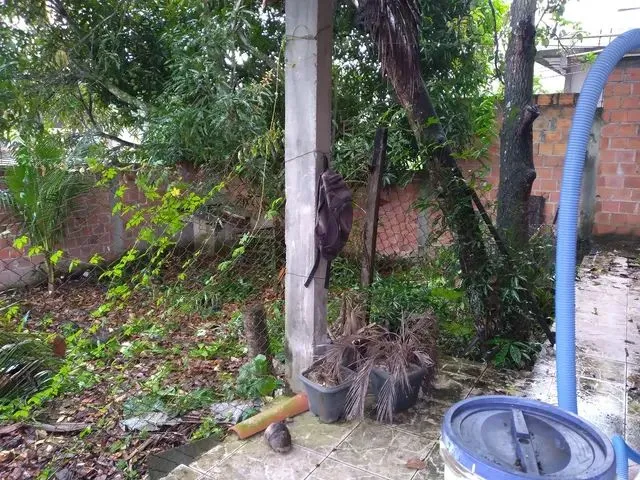 Imagem 3: Aluga-Se Casa com Piscina e Energia Solar
