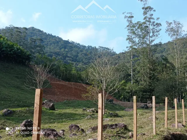 Imagem 3: Terreno, Testo Alto, Pomerode - Sc