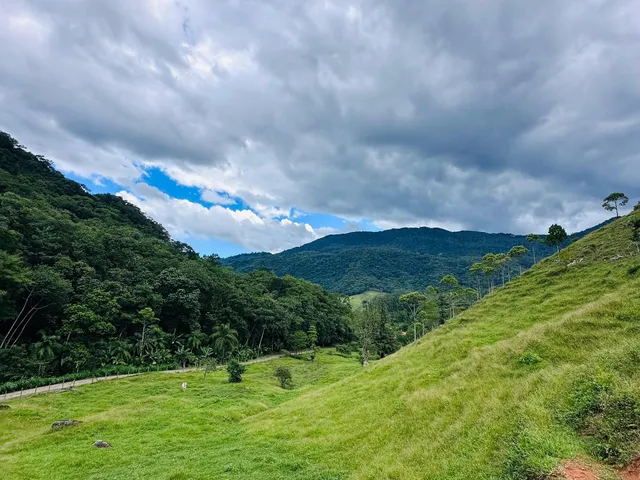 Imagem 7: Terreno, Testo Alto, Pomerode - Sc