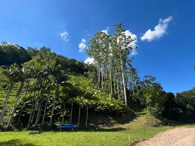 Imagem: TERRENO - Pomerode Fundos, Pomerode - SC