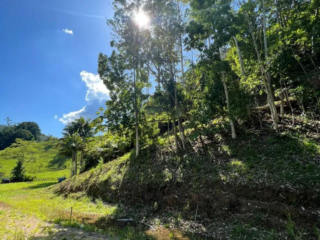 Imagem 7: TERRENO - Pomerode Fundos, Pomerode - SC