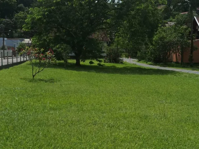 Imagem 4: TERRENO COM CASA - Centro, Pomerode SC